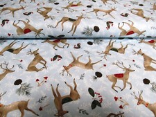 Winter  Hirsch Rentier Zapfen