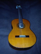 Akustikgitarre Martinez mit sehr gutem, stabilem Thomann Gigbag