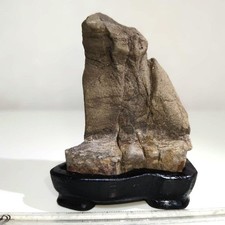 Suiseki Bonseki Bonsai