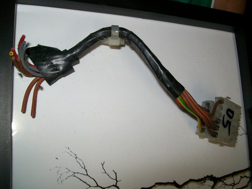 Stecker für