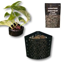 Aquarium Eck-Pflanzenhalter mit Saugnapf und Substrat Pflanzenkorb Hydrokultur