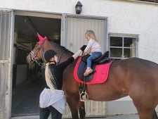 Hintermayer Anatomic Dressursattel 17 Zoll