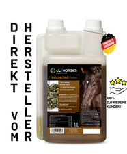 KRÄUTERLANDE Bronchopower