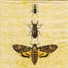 3 Servietten ~ Nature, Insekten, Schmetterling und Käfer aus der Sammlung ~33x33