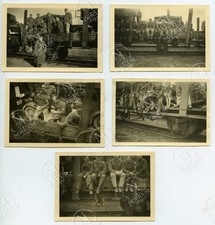 Foto wehrmacht luftwaffe - 5x,