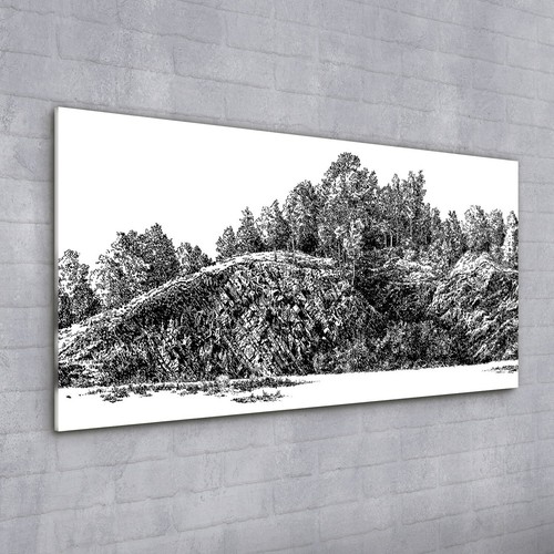 Acrylglasbild wandbild - acrylglasbild,