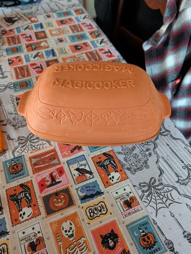 Vtg magic cooker 110 terra - cooker,