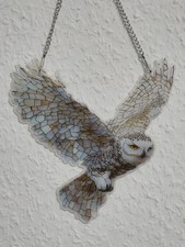 Fensterbild Sonnenfänger