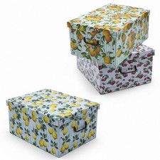 Aufbewahrungs Box Früchte