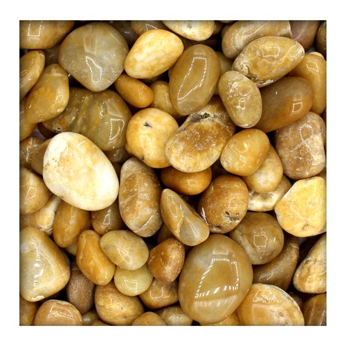 Gelber glanzkies zierkies - gelber,