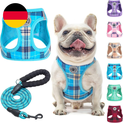 Kleines hundegeschirr und - hundegeschirr,