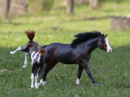 Breyer stone rrh - breyer/,