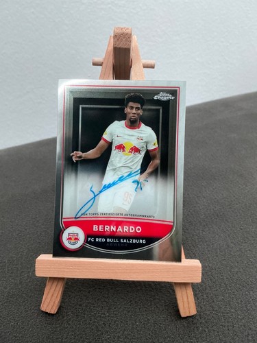 Bernardo card auto - bernardo, on