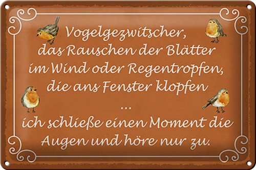 Blechschild spruch 30x20 - spruch, cm