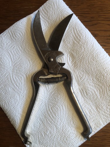 Vintage geflügelschere aus - geflügelschere,
