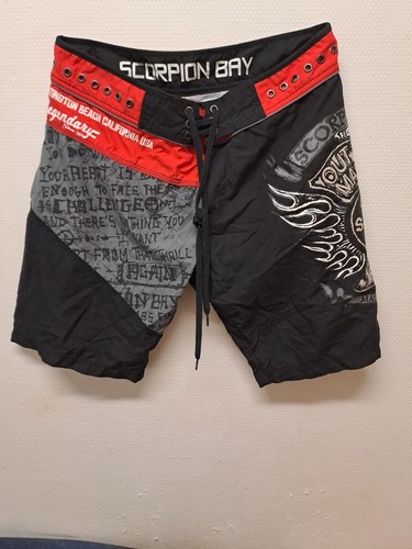 Short hose scorpion - short, bay