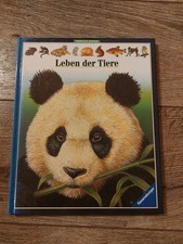 Farbiges Wissen Leben der