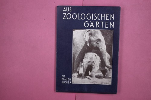 271738 paul wolff - 271738, aus