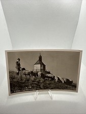 Alte Postkarte Ansichtskarte - Bergschafe An Der Wallberg Kapelle 