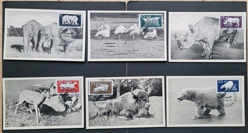 Ddr konvolut stück - ddr,