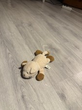 Steinbeck Janta Katze