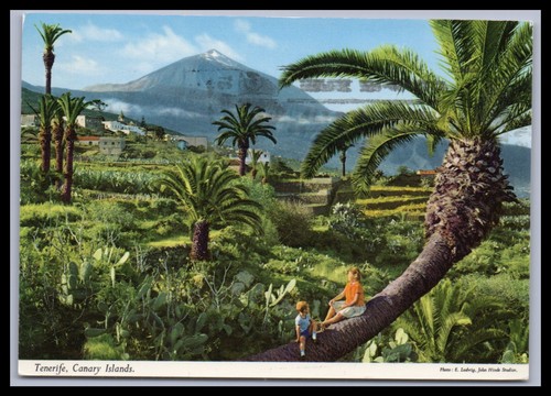 Ansichtskarte teneriffa - ansichtskarte,