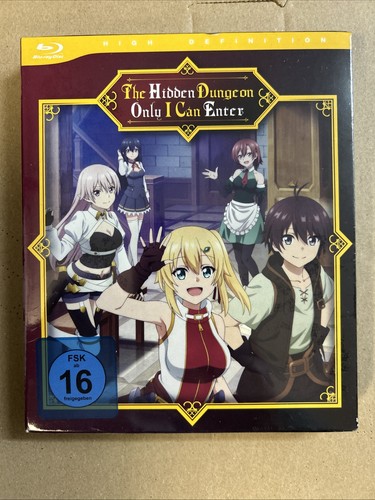 The hidden dungeon only can - hidden,