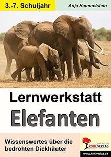 Lernwerkstatt elefanten von - elefanten,