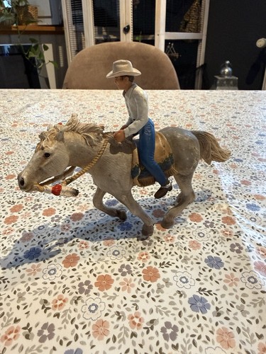 Indianerpferd mit cowboy - mit,