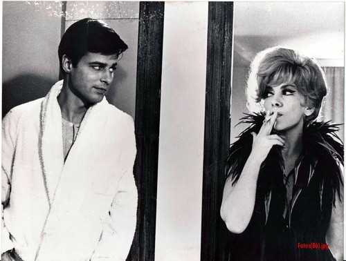 Die puppen gina lollobrigida - puppen,