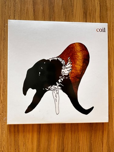 Coil black antlers 2 - black,