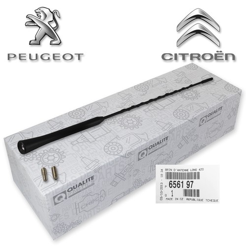 Antennenstab für citroen - fÜr,