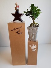 Spardose XXL Geldbox Safe 52