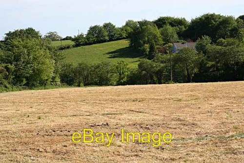 Foto 6x4 schnitt - 6x4, heuwiese