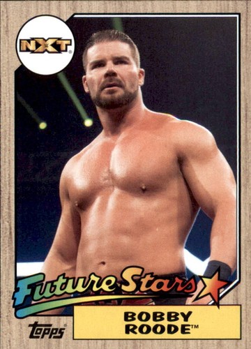 B0202 2017 topps heritage - topps, wwe