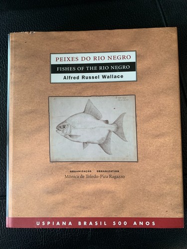 Peixes rio negro fishes - peixes,