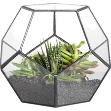 Blumentopf glas fünfeckig - blumentopf,