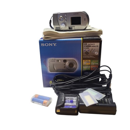 Sony cyber shot dsc p100 - cyber-shot, dsc-p100