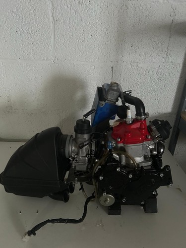 Rotax max senior evo - max,