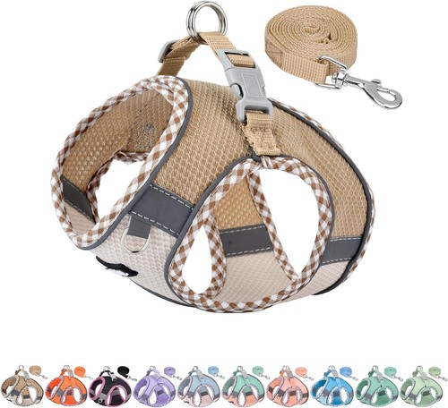 Hundegeschirr und leine set - hundegeschirr,