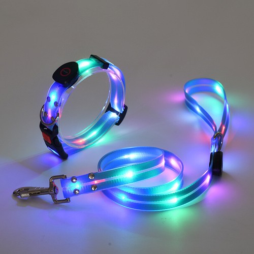 Led hundehalsband hundeleine - hundehalsband,