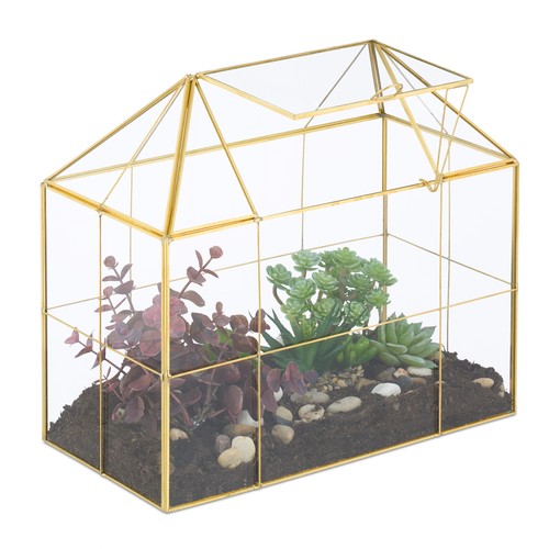 Pflanzenterrarium kakteenhaus - pflanzenterrarium,