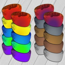 Polarisierte Ersatzgläser for