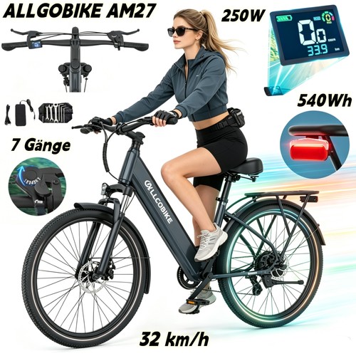 Herren trekking bike - herren, e-bike