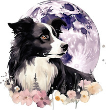 XXL 18x18 cm car sticker