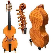 SONG professional  Gamba