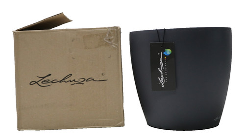 Lechuza classico color - lechuza,
