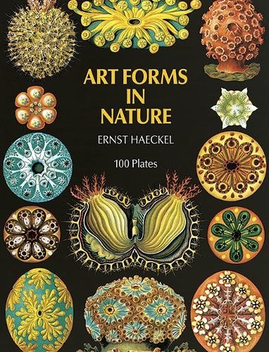 Ernst haeckel art forms - art, in