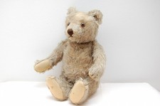 Steiff Teddy  Bär  34 cm alt