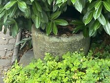 Antiker Steintrog Rund Gehauen Um 1880 Sehr Seltenes Teil